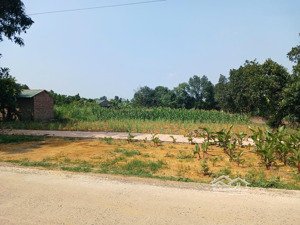 1100m bám mặt đường dh09 dành cho nhà đầu tư chia lô đất phú cát
