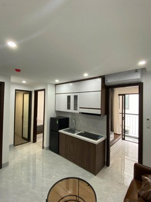 cho thuê cc mini mới tinh 2n1k tại phan kế bính, cống vị, ba đình, hà nội