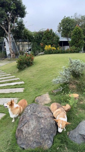 bán đất có nhà 200m co 40 tc và sổ hồng chính chủ