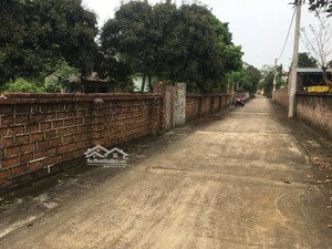 chính chủ bán 2 lô đất cực phẩm tại phú cát, quốc oai đường ô tô tránh thoải mái - giá tốt
