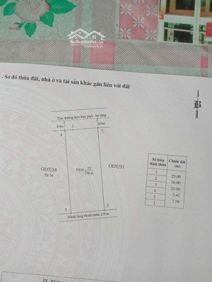 bán đất 250m2 khu phố đồng mát, tân an giá đầu tư đón sóng dự án hạ long xanh