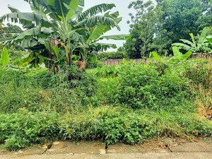 cc bán lô đất đẹp giá rẻ chỉ 12triệu/m, hòa thạch quốc oai hn dt 726,4m, tc 200m,mt 15m, ngõ thông