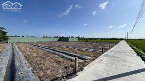 Nền thổ cư xã Bình Lãng giá công nhân