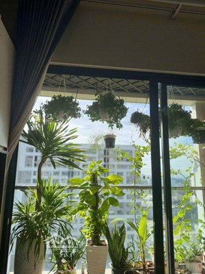 giỏ hàng cho thuê căn hộ flora novia đa dạng diện tích 57 đến 80m2 giá tốt