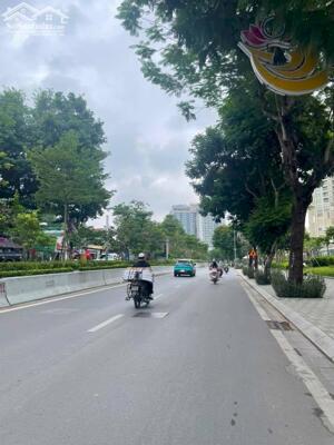 Bán nhà Mặt phố Lạc Long Quân, 66m2 x 6T x MT 5m, Thang máy, Vỉa hè 5m, Thông sàn kinh doanh