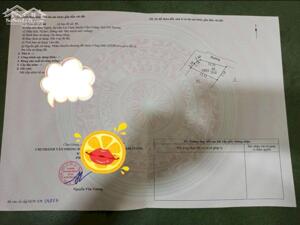 Bán lô góc cạnh VIệt Mỹ 2 tại Thôn Nghĩa Lai Cách Hải Dương