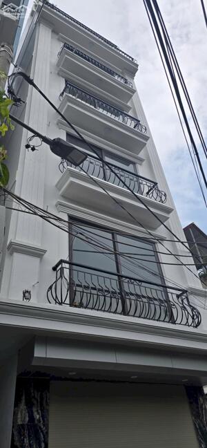 38,23,36.6 xuân la