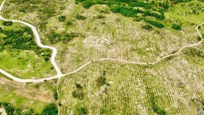 bán gấp 19ha đất đẹp, 3 mặt tiền chỉ 690tr/ha