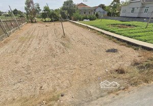 bán đất tại mtd bờ lộ hủ tiếu 160m2/540tr. giá chuẩn. đất thổ cư. phước hậu , cần giuộc, long an.