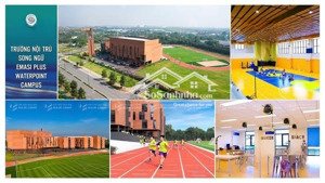 cho thuê ehome southgate căn góc 73m2 giá full nội thất,gồm phí quản lý giá 8 triệu dọn vali ở ngay