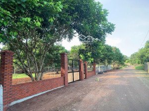 anh chị em cần bán nhà vườn 1000m2/500tr