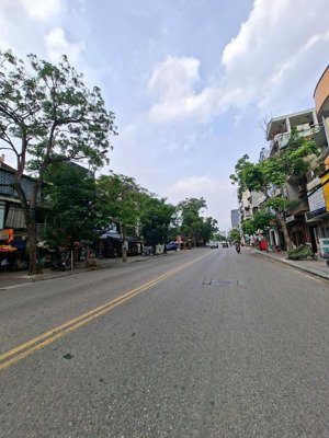 sản phẩm cực tốt đầu tư - nhà mặt phố bạch đằng - hồng bàng - dt 69m - có dòng tiền thuê 33 triệu