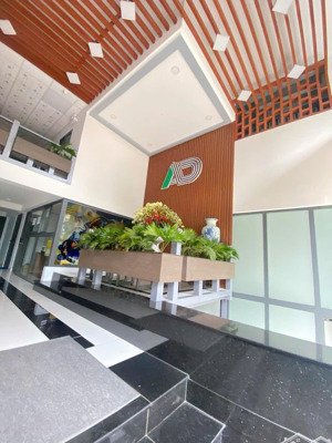 bán tòa chdv tân quy - nguyễn thị thập, quận 7. dt: 14x20m. hầm - 7 tầng hđt: 350 triệu. giá: 69 tỷ