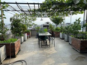 hiếm!!! bán nhà phố mạc thái tổ, trung hòa, cầu giấy, 55m2, giá 9,4 tỷ