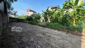 bán đất tại xã thanh lâm, mê linh, hà nội, 40 triệu / m2, 115 m2