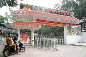 bán nhà cấp 4-dt 62m2- ngọc khánh- làng thủ lệ- ngõ phân lô rộng hơn 3m, gần bãi xe ô tô