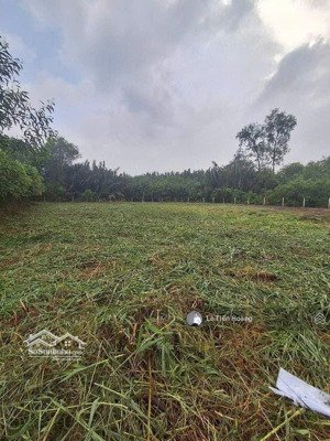 12.5 tỷ lô đất 1.247m2 ngay 1181 lê văn lương, xã phước kiển, nhà bè