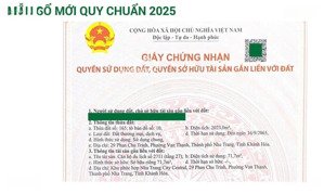 bán căn hộ dqua giá f0 - toà nhà căn hộ & khách sạn cao cấp tọa lạc tại 29 phan chu trinh nha trang