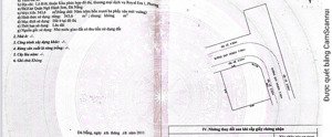 hoa hậu siêu hiếm 2mt lã xuân oai - phan tôn 543.6m giá 168 tỉ 