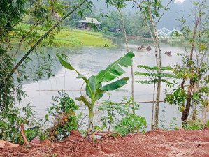 bán đất tại phú vinh, tân lạc, hòa bình, giá tốt 1,55 tỷ, 2100m2