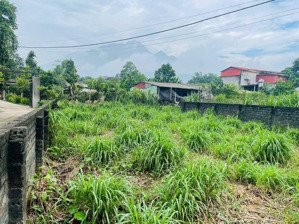 đất nghỉ dưỡng yên bài - ba vì( vân hòa cũ) lô góc 350m2 diện tích: 350m2 là lô góc