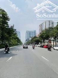 nhà 5t mặt phố văn cao - liễu giai gần hồ tây, đường 42m hè 6m, dt 95m mt 5m giá đầu tư 65tỷ