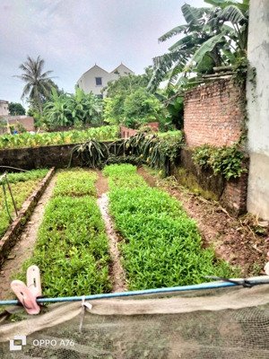 bán đất kim sơn, gia lâm, hà nội, dt 50,1m, mt 4,23m,ngõ thông, gần chợ, trường học, chỉ 2,6 tỷ.