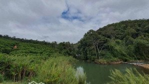 bán đất 50.000m2 tại thị trấn măng đen, giá tốt 10 tỷ. bám thác suối đá