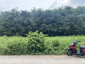 bán rẻ lô đất 138.8m2/900tr gần kcn mỹ phước 3 cách dt741 500m, sr,khai thác đầu tư, cho thuê