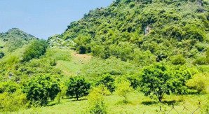 bán mảnh đất nghỉ dưỡng, phong cảnh thơ mộng, kim bôi, hoà bình.