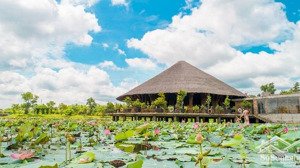bán 4 nền khu a/b/c/f/h tại dự án kđt làng sen việt nam - vị trí đẹp - giá đầu tư và dễ dàng an cư