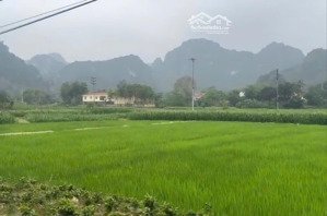 em chính chủ bán lô đất 750m2 mặt đường liên xã tại thanh sơn-lương sơn hoà bình