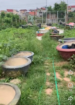 cho thuê đất mặt đê quai nhật tân, 450m ô tô tránh gần kho ghn có nhà cấp 4