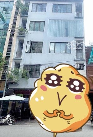 siêu phẩm mặt phố nguyễn hy quang - tt đống đa - kinh doanh đa nghành nghề diện tích: 44m x mt 5.2