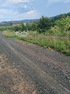 bán rẻ 300m2 đất, sẵn 100 thổ cư