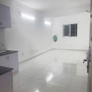 cho thuê căn hộ chung cư cường thuận ngay amata lh: 