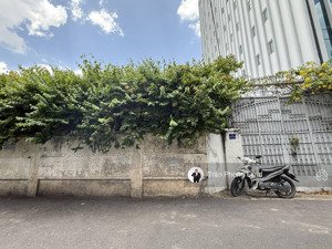 chính chủ gửi cho thuê nhà mặt tiền số 3 hồ biểu chánh, p11, q. phú nhuận, 22x25m, 