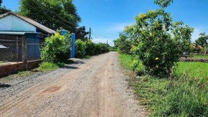 chính chủ bán. lô góc 2 mặt tiền. đường bờ mồi. 180m2 đất full thổ.