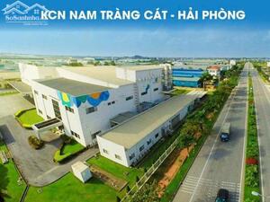 Bán lô đất mặt đường Tân Vũ 2, Tràng Cát 93m2 giá 33.5tr/m2