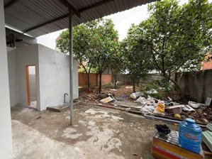 cho thue nha gần trường đại hoc công nghê đồng nai thuộc khu phô 5 ( giá 4tr tháng )
