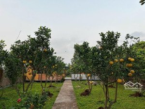 cần bán dt 360m2, 600m2, 660m2, 1000m2 đất 50 năm xây dựng nhà vườn nghỉ dường tại an khánh, hà nội