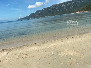 nhà trực diện biển ninh vân 1890m2 ô tô vào tận nơi