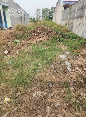 chính chủ ngộp bán đất xã tân bửu, huyện bến lức, long an 7,5mx20m- đường 4m xe hơi vào tận nơi