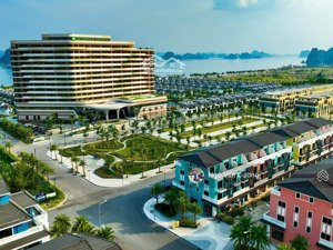 cắt lỗ căn shoptel đa dạng về vị trí, sẵn sổ cất két, tiềm năng lớn khi luật đặc khu vân đồn