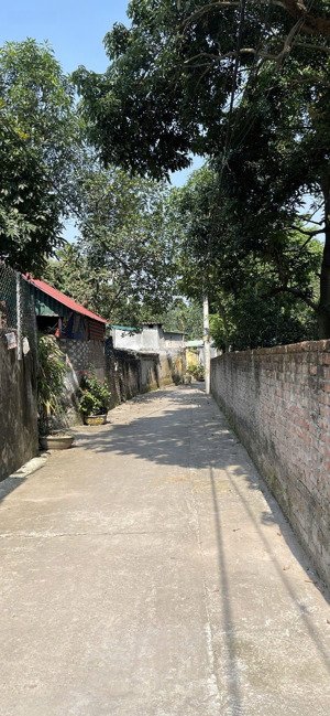 bán lô góc 3 thoáng 80m2 tam thuấn, phúc thọ. ngõ thông ô tô vào đất