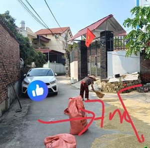 bán đất 105m2 tại xã tân mỹ, bắc giang, giá tốt 1,25 tỷ
