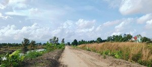đất làm vườn, lộ xe hơi, phường tân thành, tỉnh cà mau