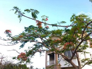 đất nền topia garden chỉ 1 lô view sông vị trí tuyệt đẹp giá rẻ hơn thị trường mr hải