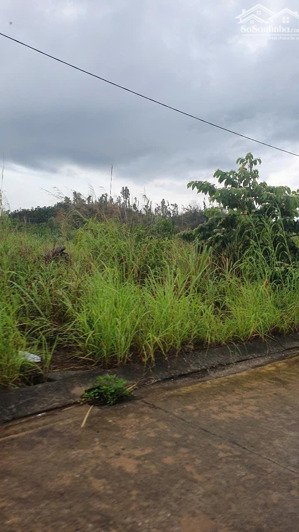 siêu lô đẹp 260m2 kđt đoàn kết đường 15m giá chỉ 18.72 tỷ