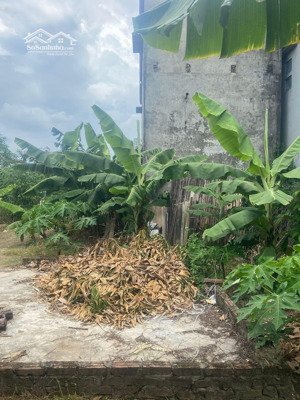 bán đất hà nội giá chỉ 5,5tr/ mét. lh 